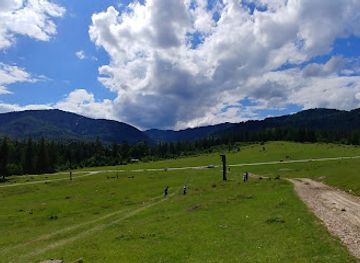 romania/vrancea/attraction/poiana-punga