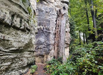 luxembourg/mullerthal/attraction/versteinerter-dino