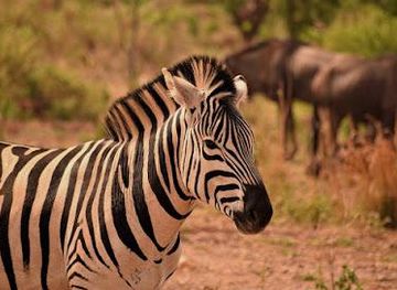 philippines/tagaytay/attraction/yoki-s-farm