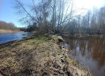 estonia/soomaa-national-park/attraction/lemmjoe-keelemetsa-opperada