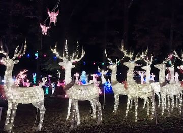 alabama/tombigbee-river/attraction/harmon-family-christmas-lights