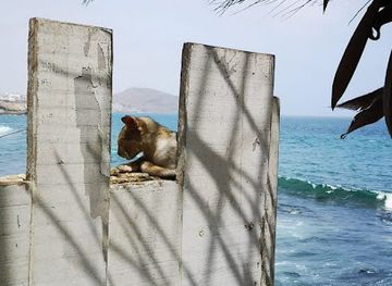 cameroon/bimbia-beach/attraction/rond-point-deido