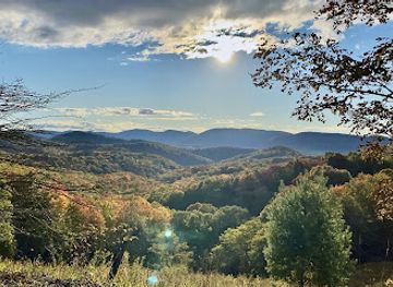 west-virginia/spruce-knob/attraction/bickle-knob-observation-tower