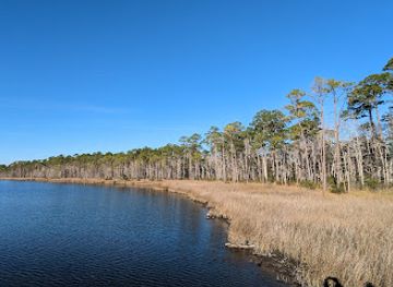 florida/pensacola-beach/attraction/tarkiln-bayou-preserve-state-park