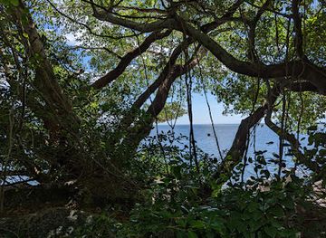 australia/hinchinbrook-island/attraction/eva-island