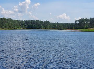 alabama/coosa-valley/attraction/bamahenge