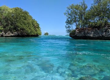 palau/tobi/attraction/ngemelis-island