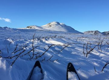 norway/hovden/attraction/stoylskardnuten