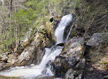 connecticut/litchfield-county/attraction/campbell-falls-state-park