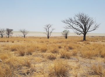 namibia/etosha-national-park/attraction/picnic-spot