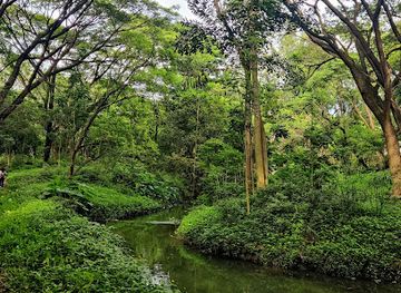 india/pune/kalyani-nagar/attraction/osho-teerth-park