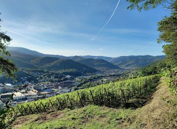france/vosges-mountains/attraction/castle-hugstein