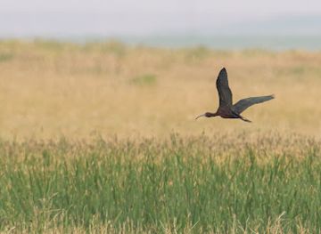 montana/the-lewis-and-clark-national-forest/attraction/benton-lake-national-wildlife-refuge