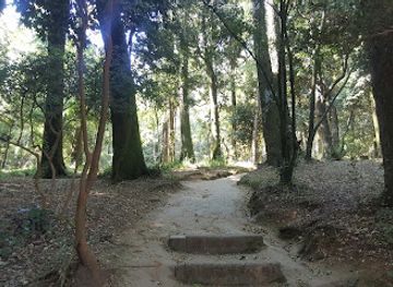 chile/los-rios-region/attraction/guillermo-harnecker-park