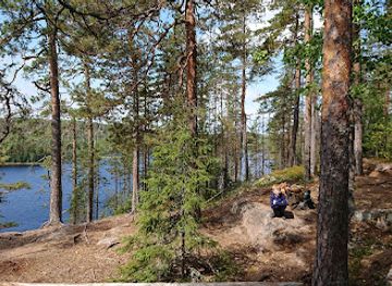 finland/repovesi-national-park/attraction/aarnikotka-nature-reserve