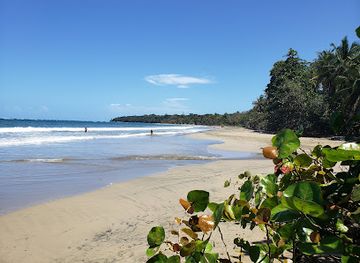 costa-rica/limon/attraction/playa-manzanillo