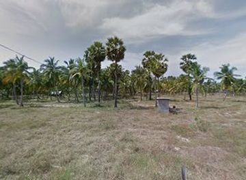 sri-lanka/kalpitiya/attraction/nethra-goon