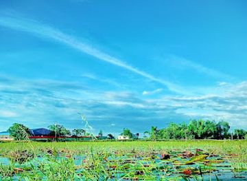 bangladesh/lawachara-national-park/attraction/hail-haor-vhara-urda