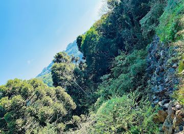 brazil/serra-gaucha/attraction/acquamotion