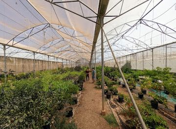 israel/nazareth/attraction/beit-hapalpel