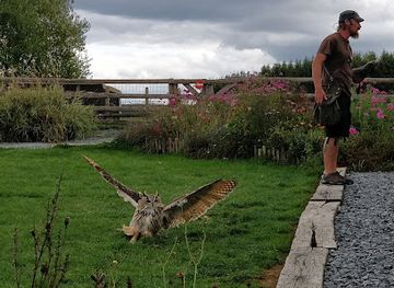 belgium/gaume/attraction/jardin-des-hiboux
