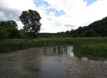 iowa/driftless-area/attraction/driftless-area-wetlands-centre