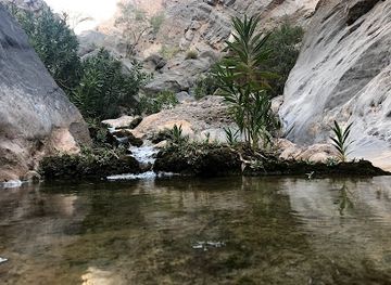 oman/rustaq/attraction/wadi-qari