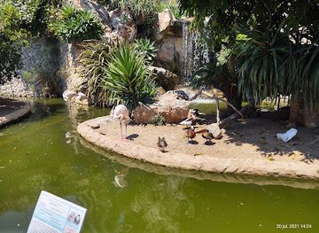 monaco/jardin-exotique/attraction/jardin-animalier-de-monaco