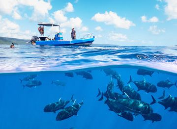 christmas-island/greta-beach/attraction/christmas-island-wet-n-dry-adventures