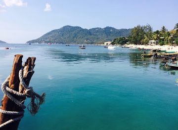 thailand/koh-tao/attraction/turtle-welcome-tours