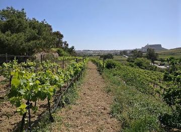 malta/xaghra/attraction/ta-mena-estate