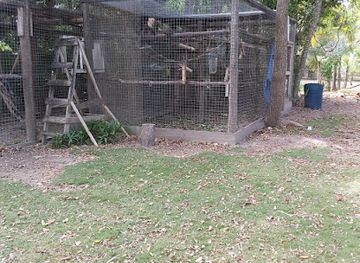 belize/corozal-district/attraction/wildtracks