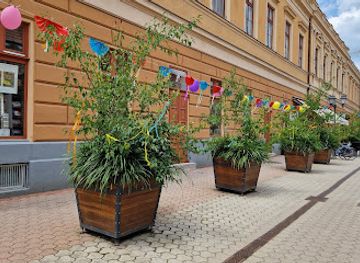 hungary/debrecen/attraction/batthyany-setalo-utca