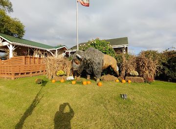 Tupelo Buffalo Park & Zoo