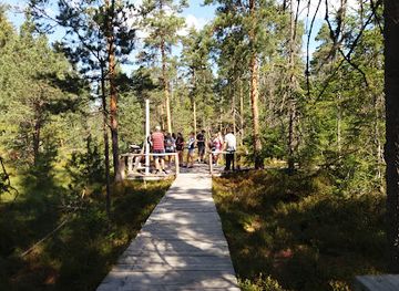 romania/harghita/attraction/tinovul-de-la-fantana-brazilor