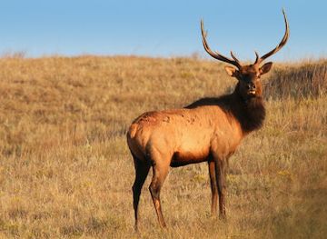 south-dakota/pine-ridge/attraction/boland-ridge