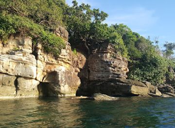 vietnam/phu-quoc-island/attraction/bai-san-ho-ganh-dau