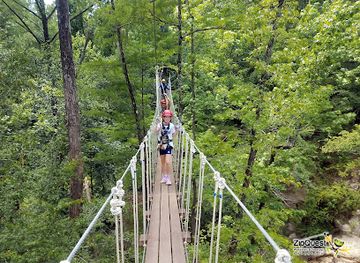 ZipQuest - Waterfall & Treetop Adventure