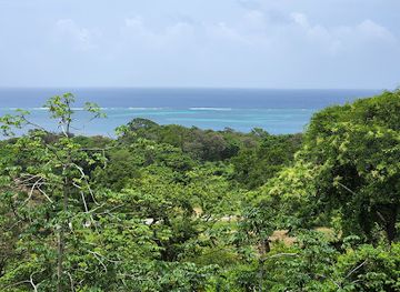 honduras/bay-islands/attraction/eco-caribbean-culture-park