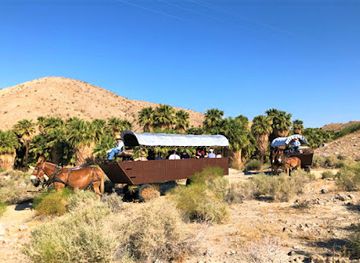 california/palm-desert/attraction/covered-wagon-tours