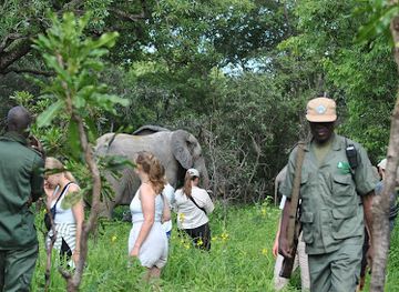 ghana/tamale/attraction/savannah-standard-tours