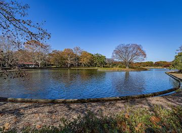 japan/tosa/attraction/showa-kinen-national-park