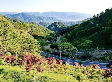 south-korea/jirisan-national-park/attraction/seongsamjae-service-area