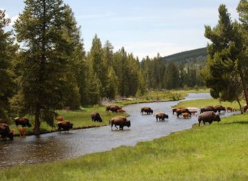 montana/eastern-montana/attraction/yellowstone-hiking-guides