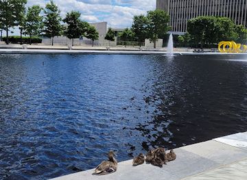 new-york/albany/washington-park/attraction/new-york-state-museum