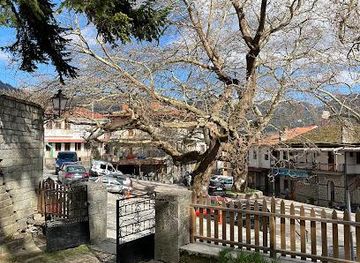 greece/meteora/attraction/metsovo