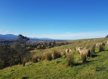 new-zealand/blenheim/attraction/rotary-lookout