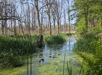 belgium/campine-kempen/attraction/borderpark-kempen-broek