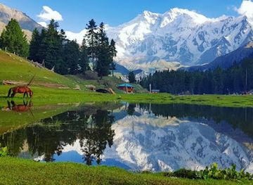 Fairy Meadows