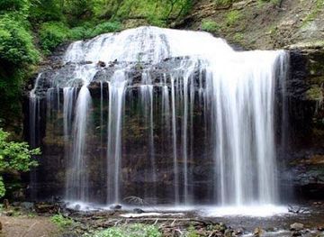 Wilke Glen and Cascade Falls